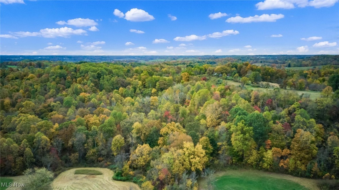 0 Pert Hill Road Hopewell, OH 43746 - Photo 6 of 14