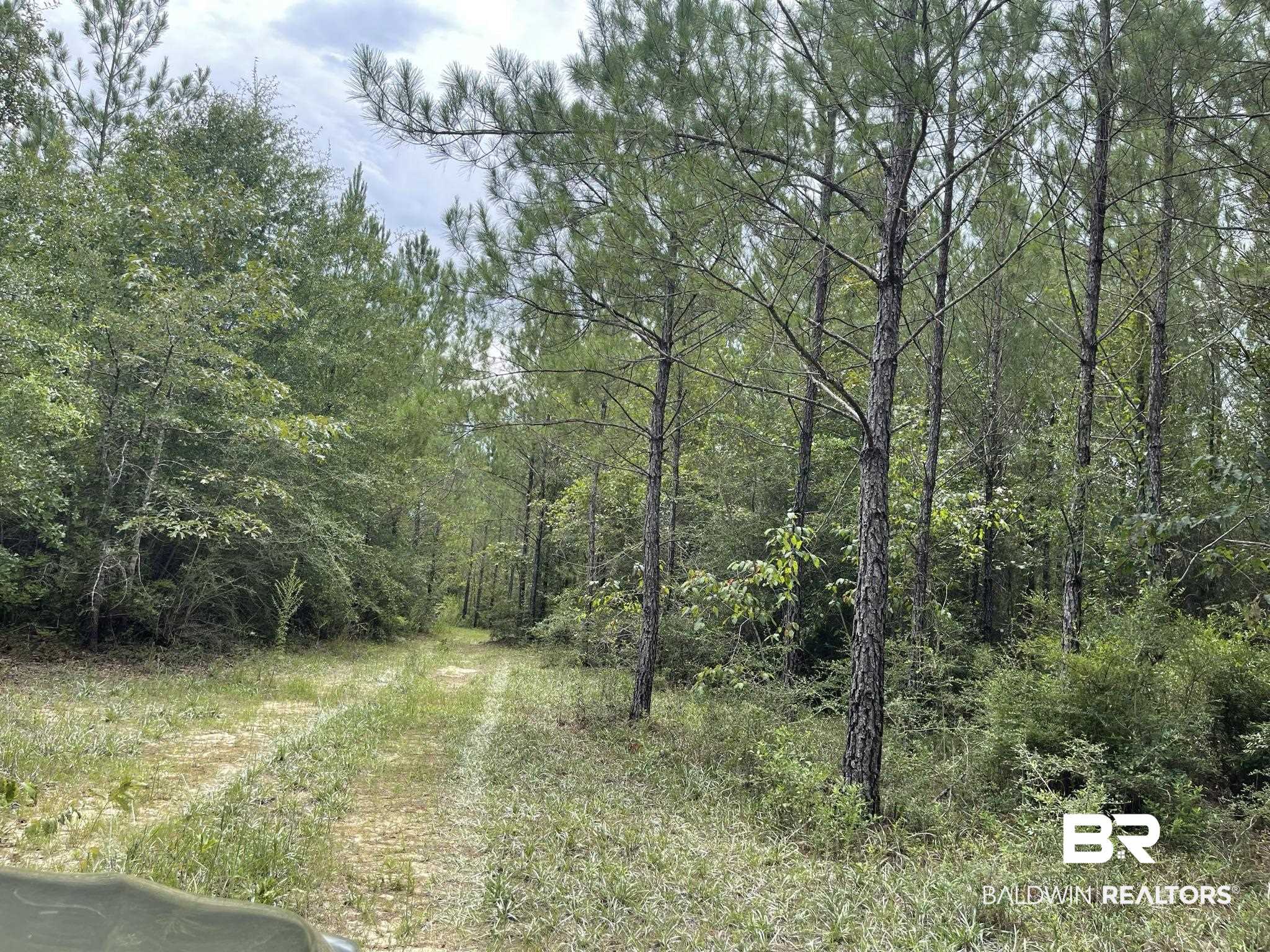 0 County Road 11 Wing, AL 36483 - Photo 28 of 37