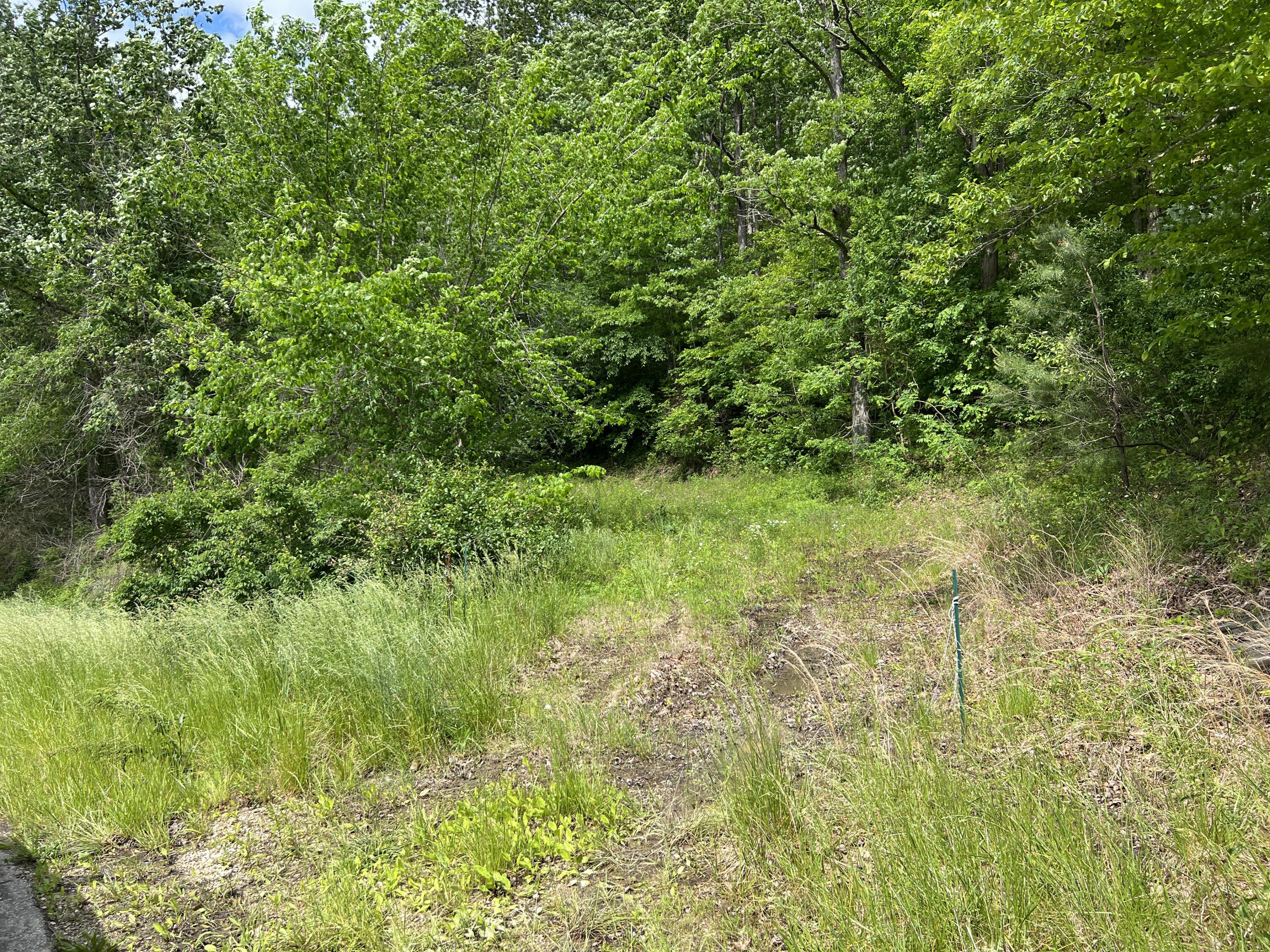 9999 Town Hl Road Jackson, KY 41339 - Photo 4 of 6 638002CE-C311-419F-8462-0487E6BEBEDA