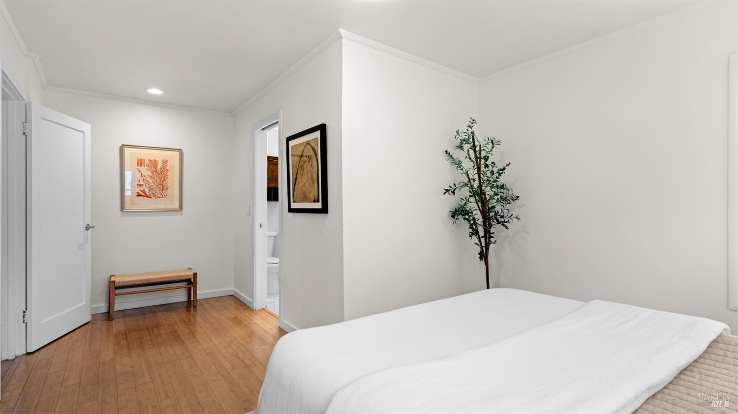 38 Bret Avenue San Rafael, CA 94901 - Photo 32 of 52 a bedroom with a bed and a potted plant