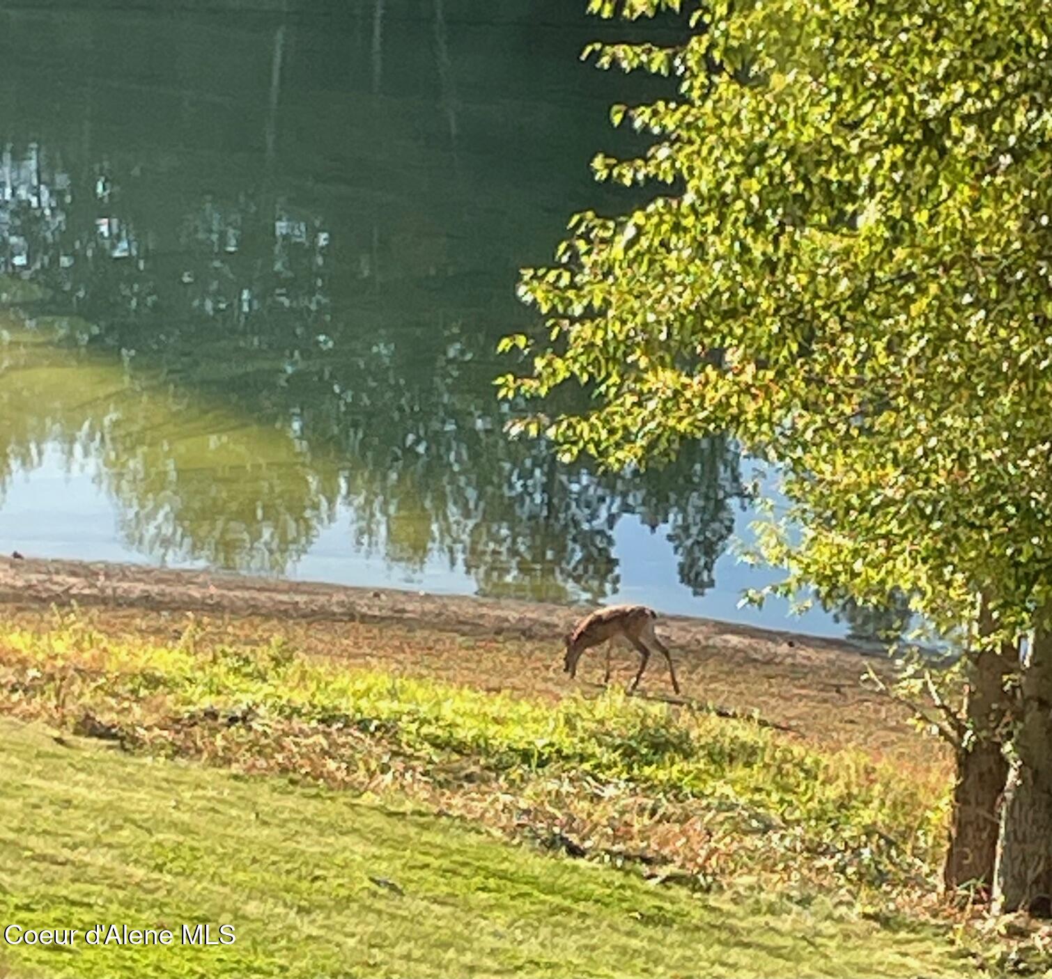 53 Hanaford Court Blanchard, ID 83804 - Photo 67 of 78 IMG_5245