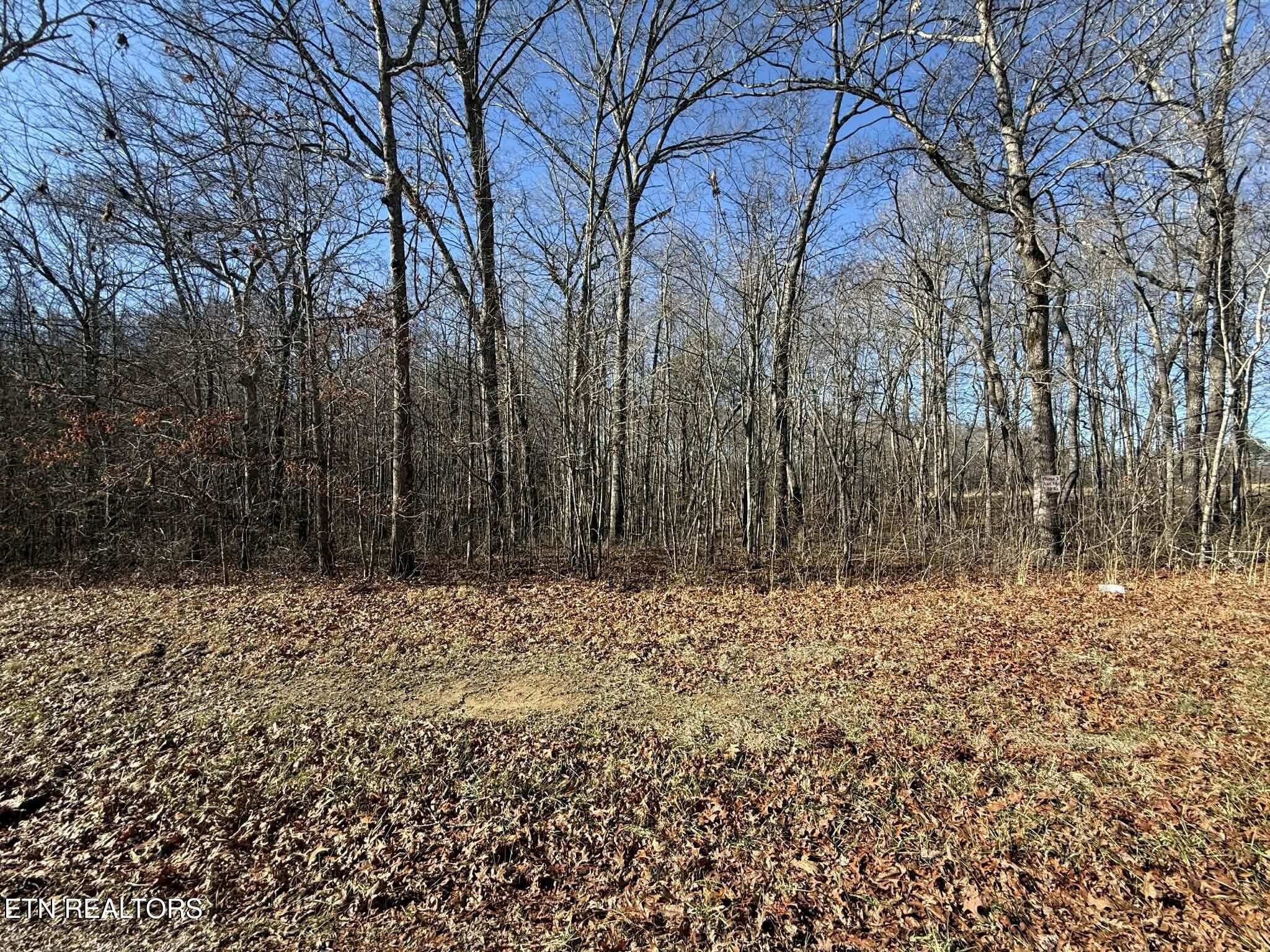 0 Georgee Road Jamestown, TN 38556 - Photo 1 of 13
