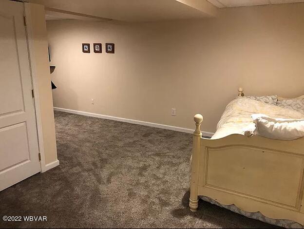 203 Green Pine Road Montgomery, PA 17752 - Photo 55 of 59 Gallery Image 55
