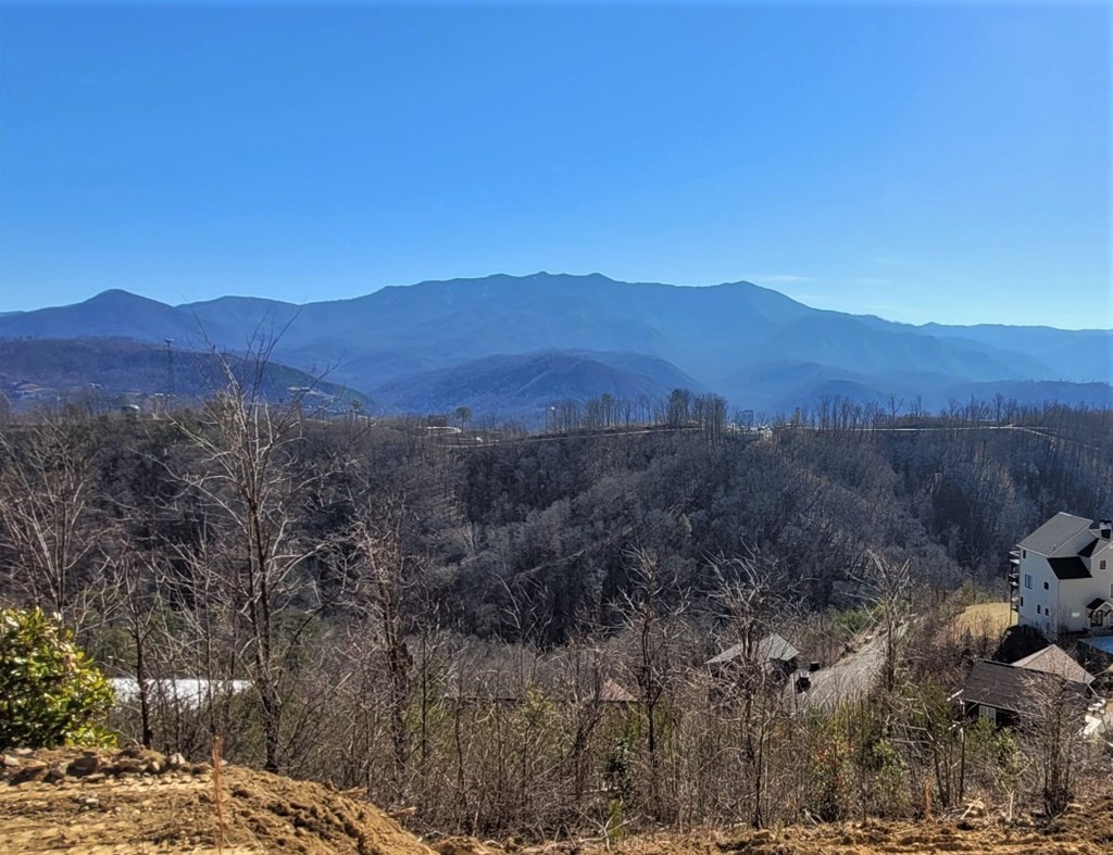 736 Village Loop Road Gatlinburg, TN 37738 - Photo 15 of 33 Gallery Image 15