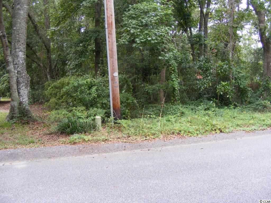16 Jay Street Murrells Inlet, SC 29576 - Photo 2 of 5