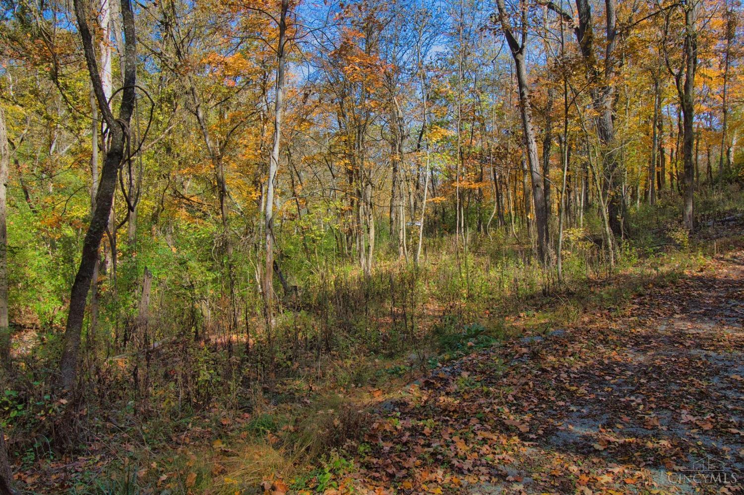 7167 Goshen Road Goshen, OH 45122 - Photo 14 of 31