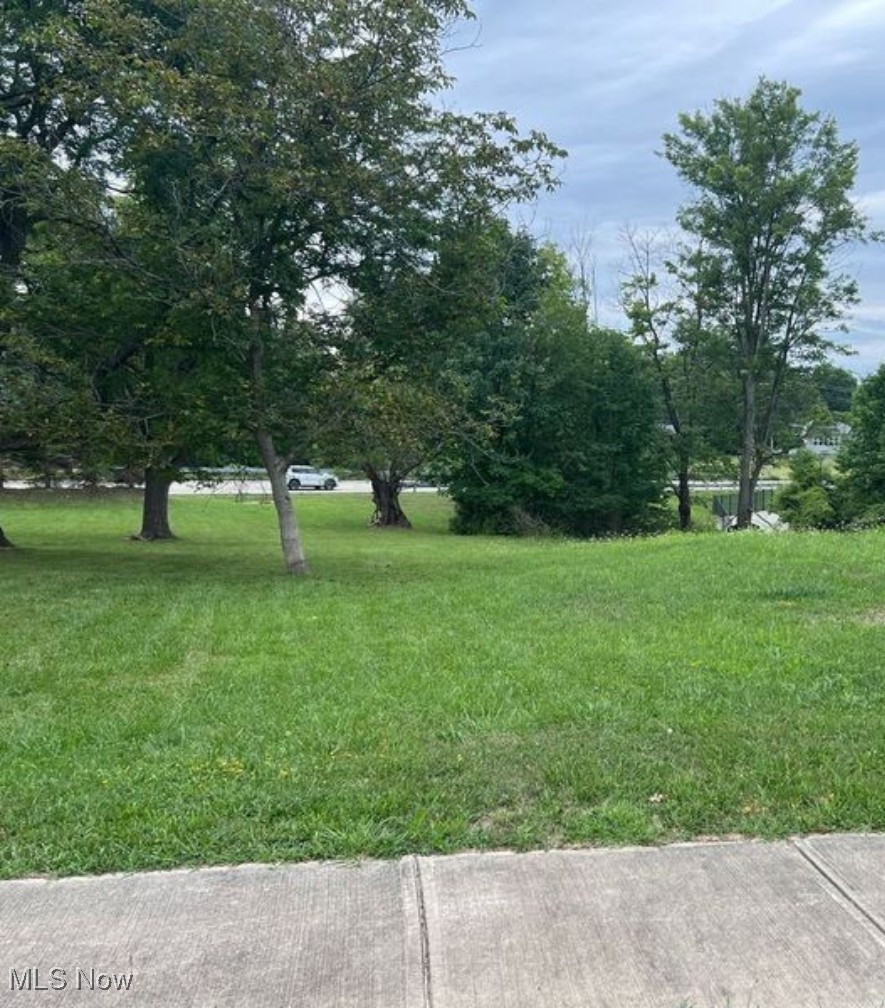 12939 West Pleasant Valley Road Parma, OH 44130 - Photo 2 of 5 View of yard