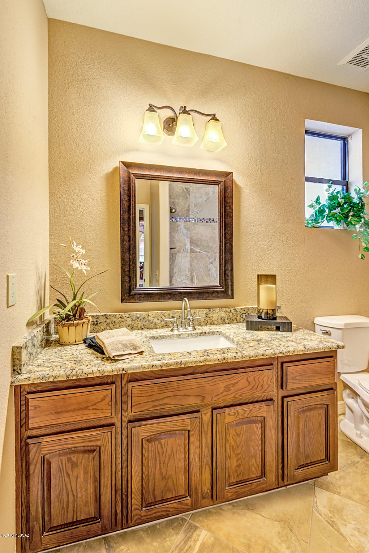65711 East Stoney Ridge Drive Tucson, AZ 85739 - Photo 28 of 48