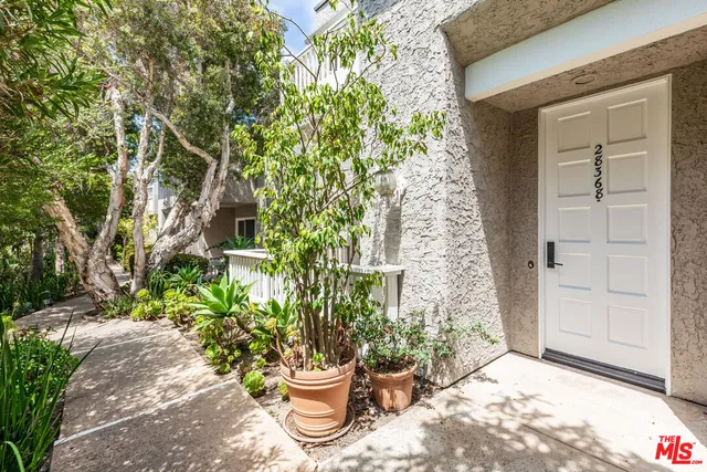 a view of a potted plant in front of a house