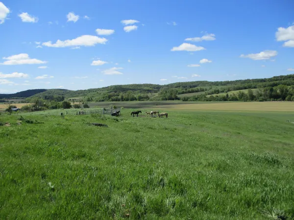 $99,000 | 13.13 A County W, Elroy, WI 53929