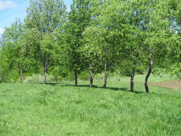 $99,000 | 13.13 A County W, Elroy, WI 53929