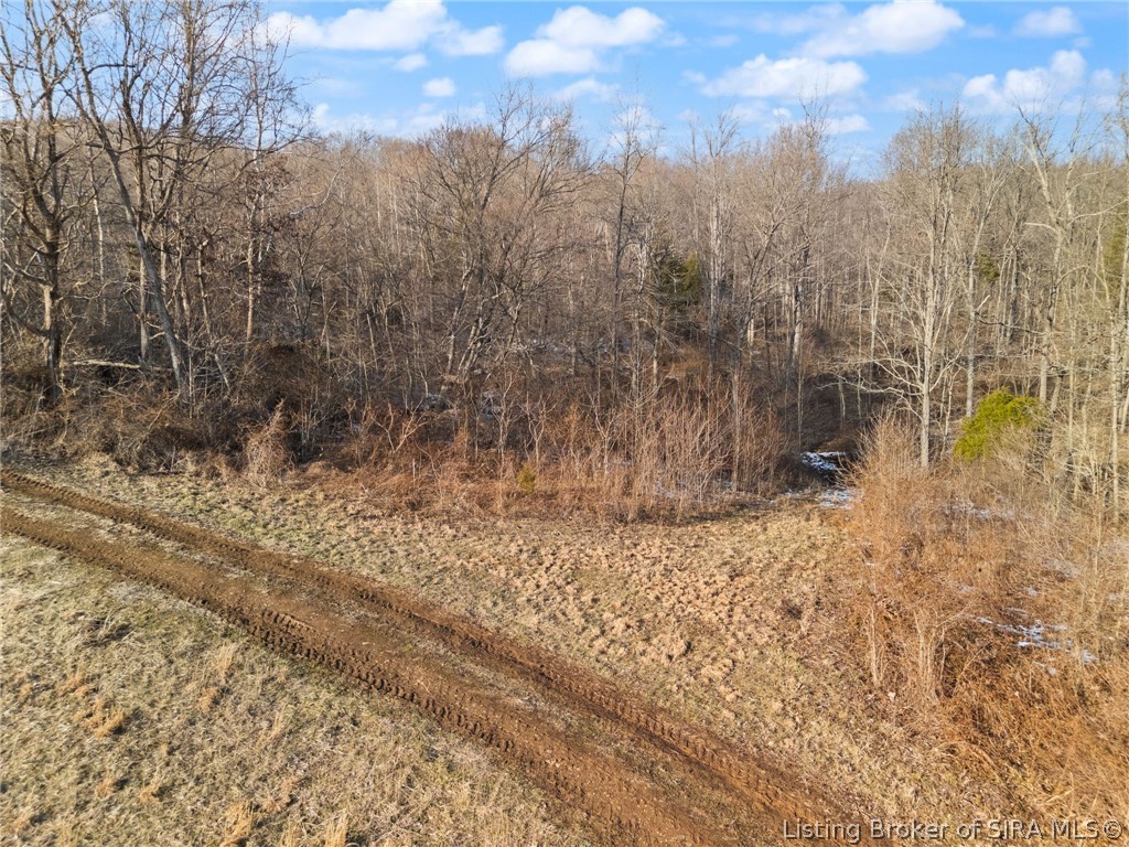 32.72-acres Oriole Road St. Croix, IN 47514 - Photo 51 of 56