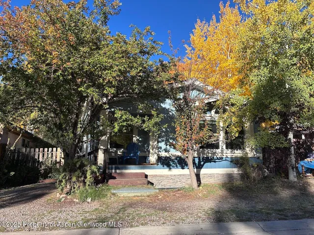 a park with large trees