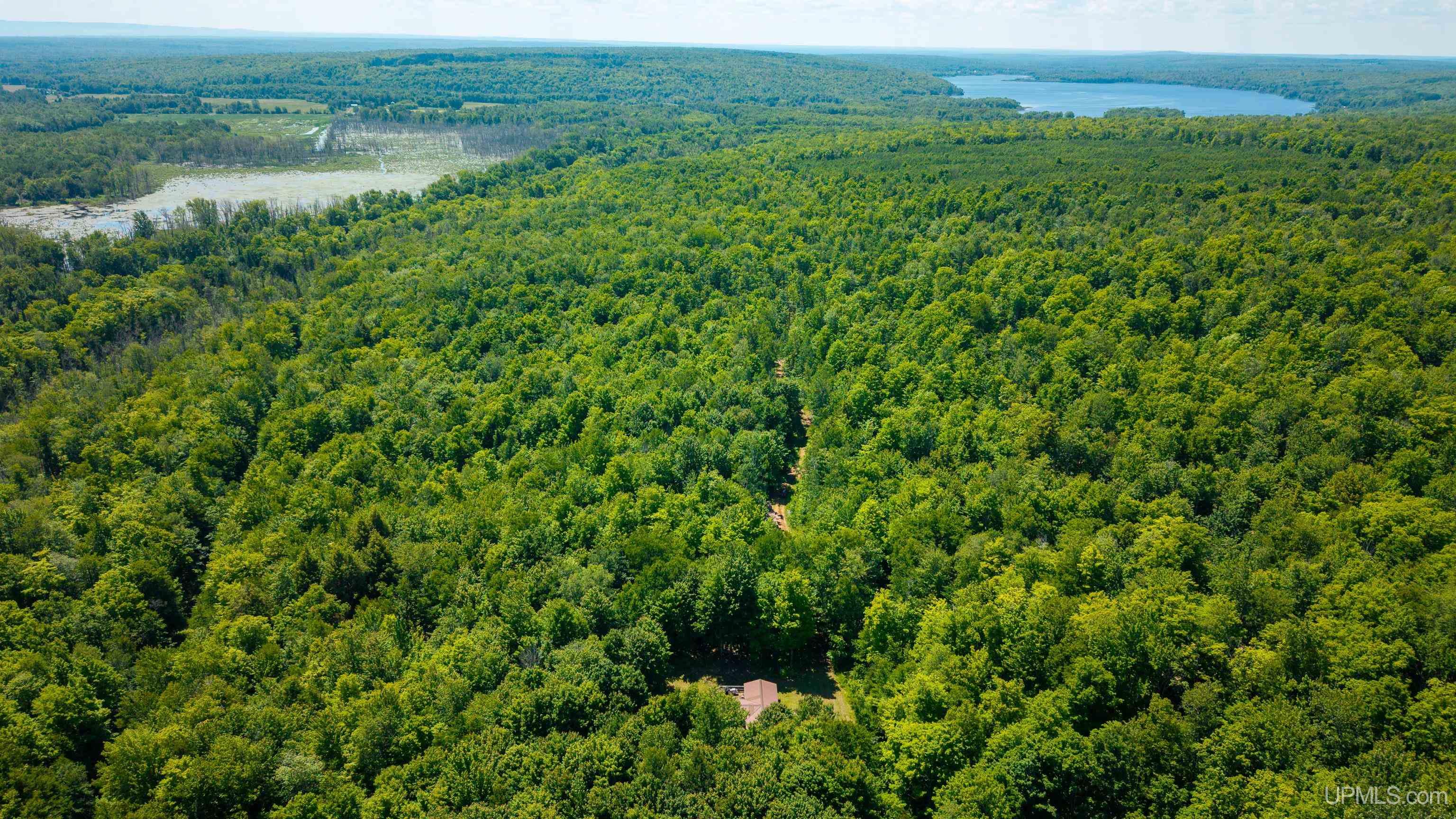 2006 Pike River Road Chassell, MI 49916 - Photo 49 of 52