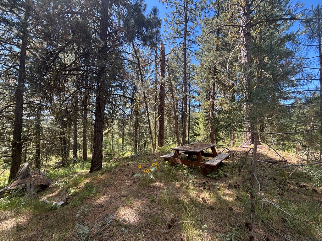 L16-b1 Lantern Way, Unit 16 Cascade, ID 83611 - Photo 10 of 39 Wooded