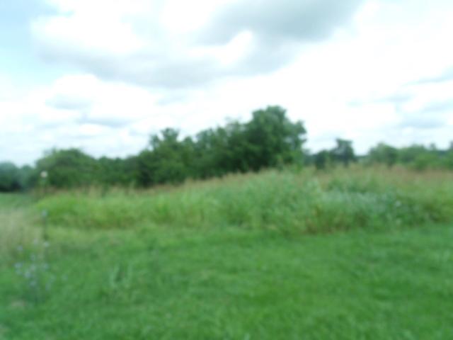 812 Peytona Beach Road Waddy, KY 40076 - Photo 48 of 166 Peytona Beach Waddy ky July 2021 008