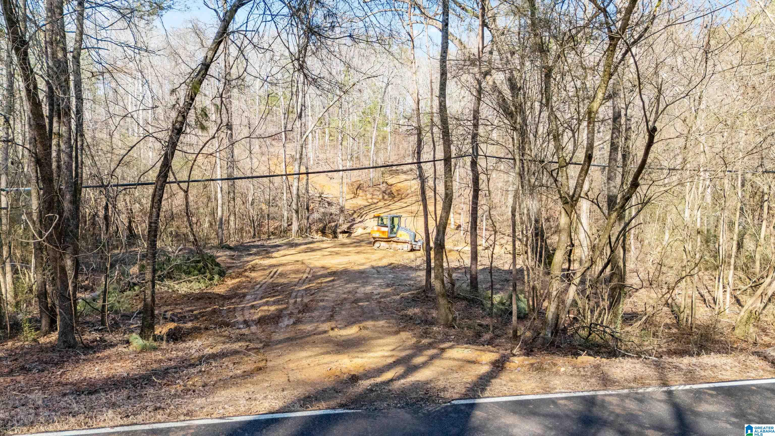 7019 Groundhog Road, Unit 1 Morris, AL 35116 - Photo 21 of 22