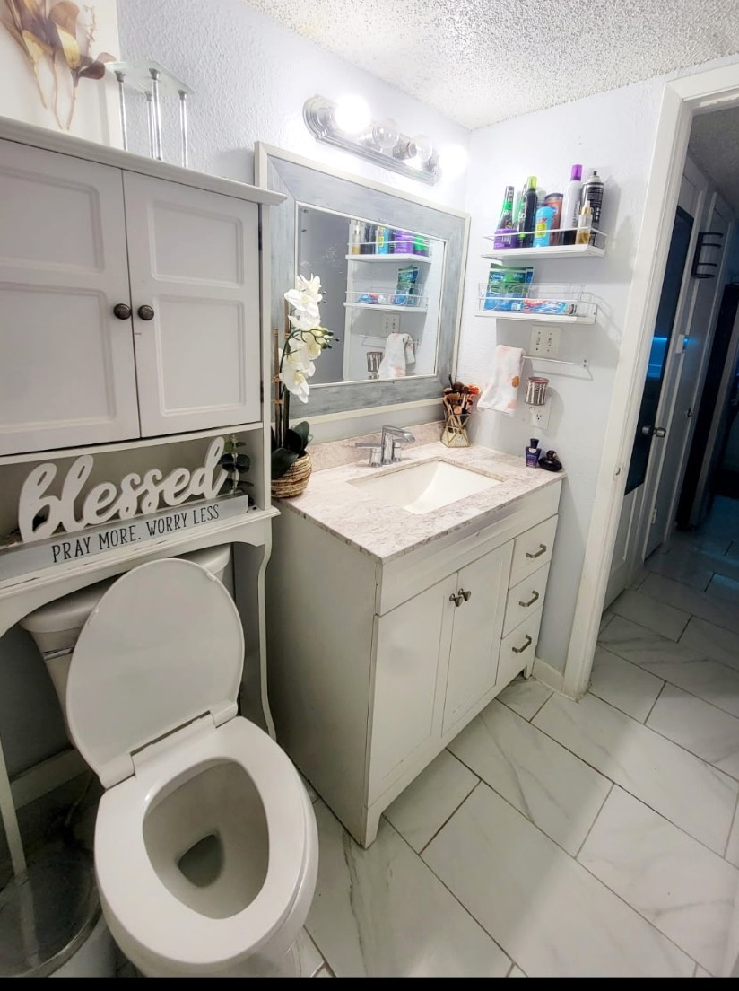 13046 Leader Street, Unit 976 Houston, TX 77072 - Photo 11 of 18 a bathroom with a toilet sink and mirror