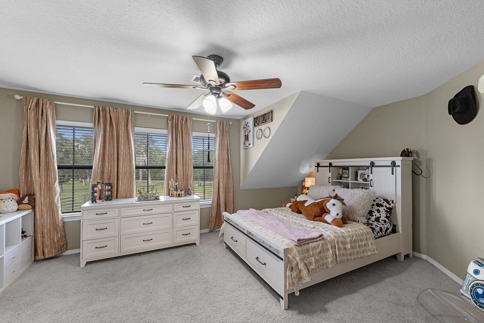 24011 Old Howth Road Hempstead, TX 77445 - Photo 9 of 43