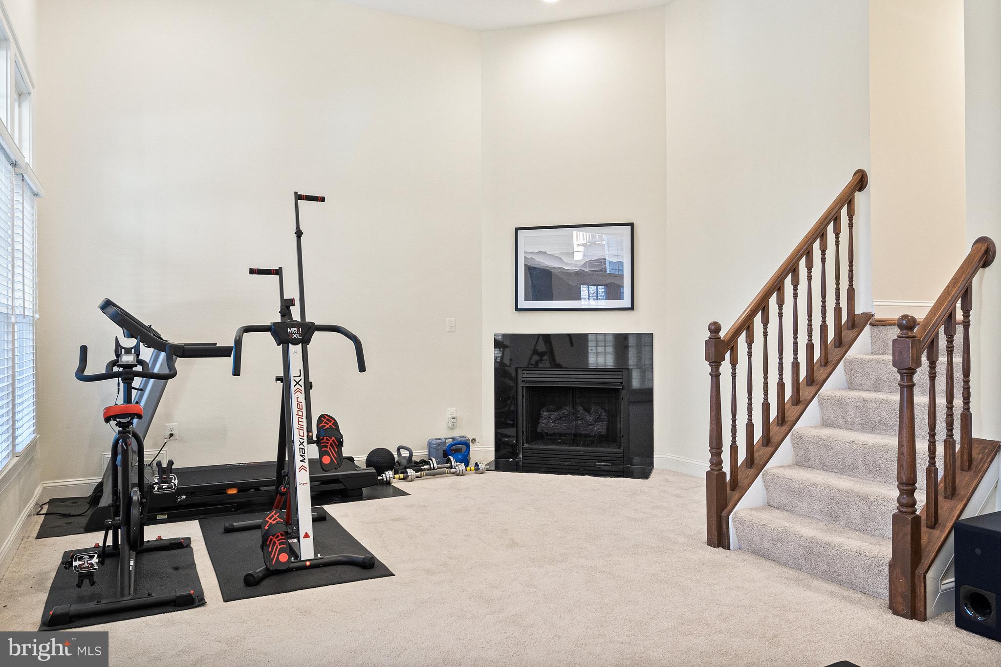 11410 Summer House Court Reston, VA 20194 - Photo 26 of 51 Recreation Room
