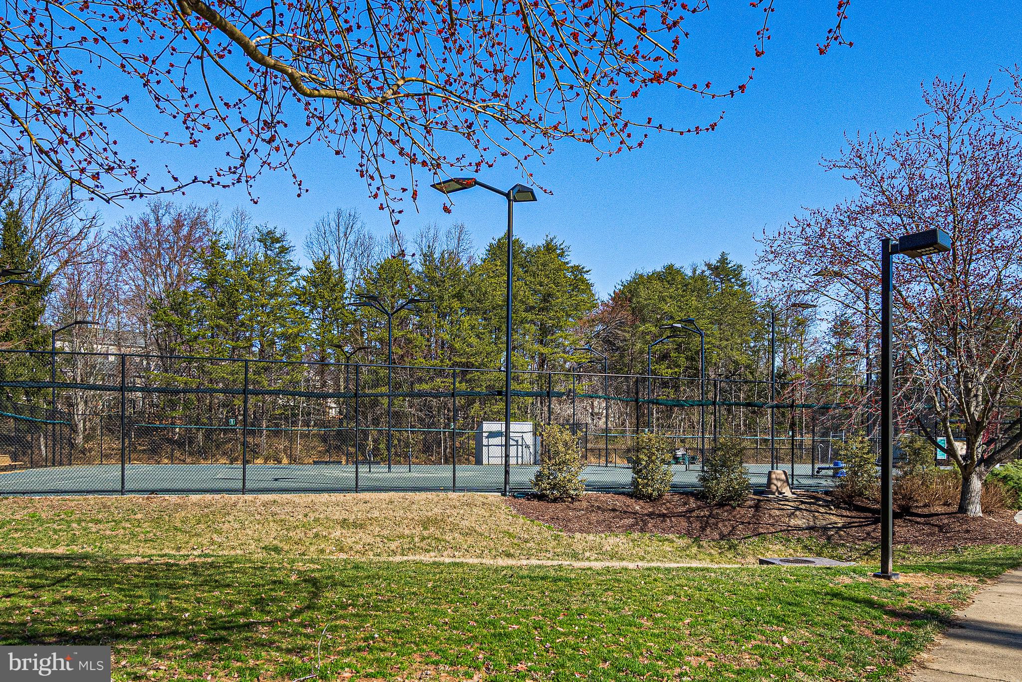 11410 Summer House Court Reston, VA 20194 - Photo 39 of 51 Tennis & Pickleball Courts ( 52 to choose from)