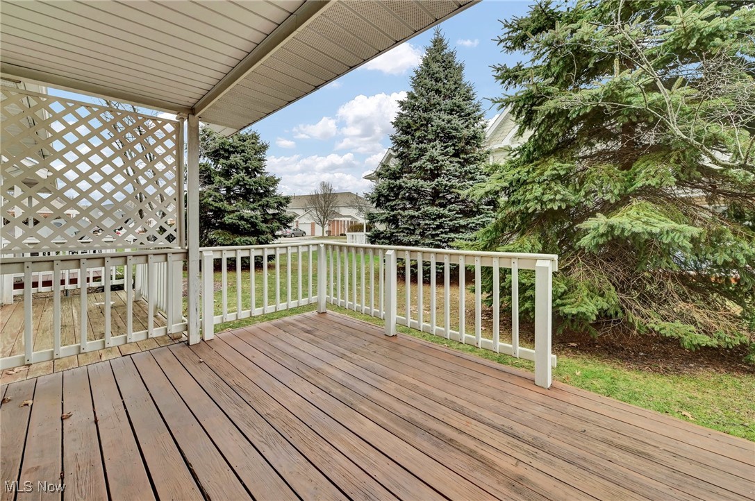 6745 Rock Ridge Court Cleveland, OH 44130 - Photo 28 of 33 Covered deck with nature screen of lovely pine trees