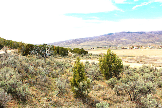 North W, Unit 93 Fairview, UT 84629 - Photo 13 of 23