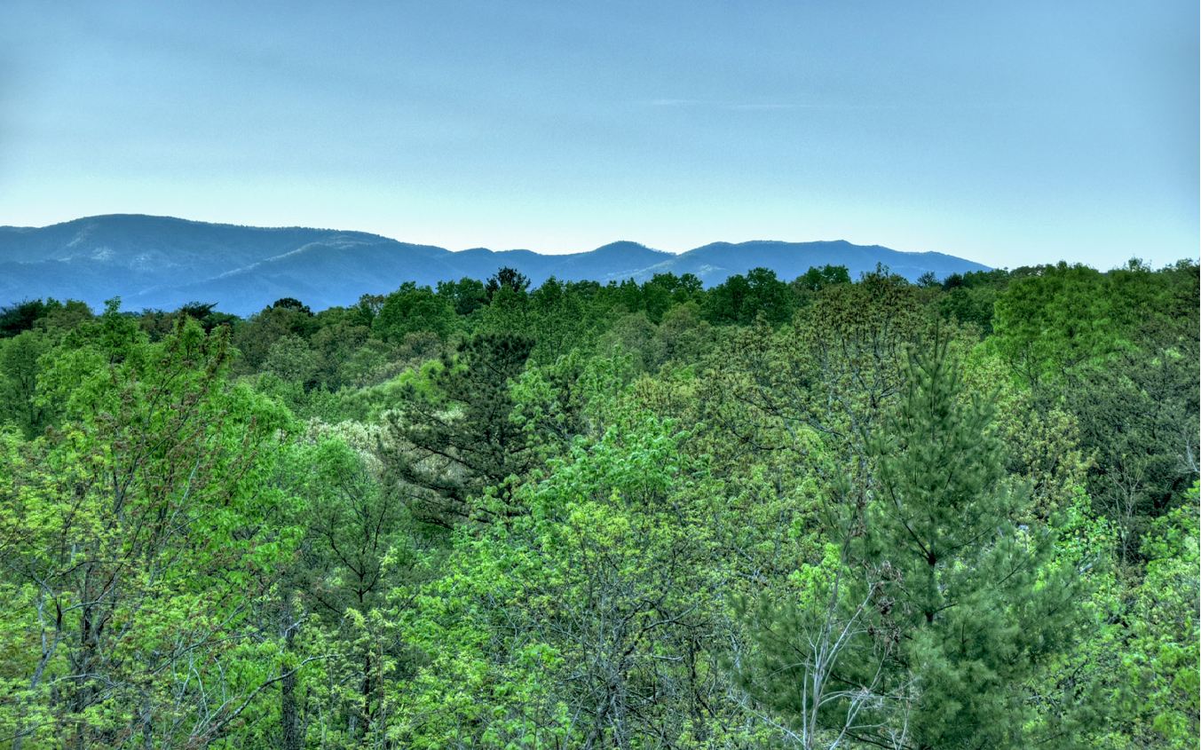 923 Big Timber Road Mineral Bluff, GA 30559 - Photo 12 of 58 Additional View