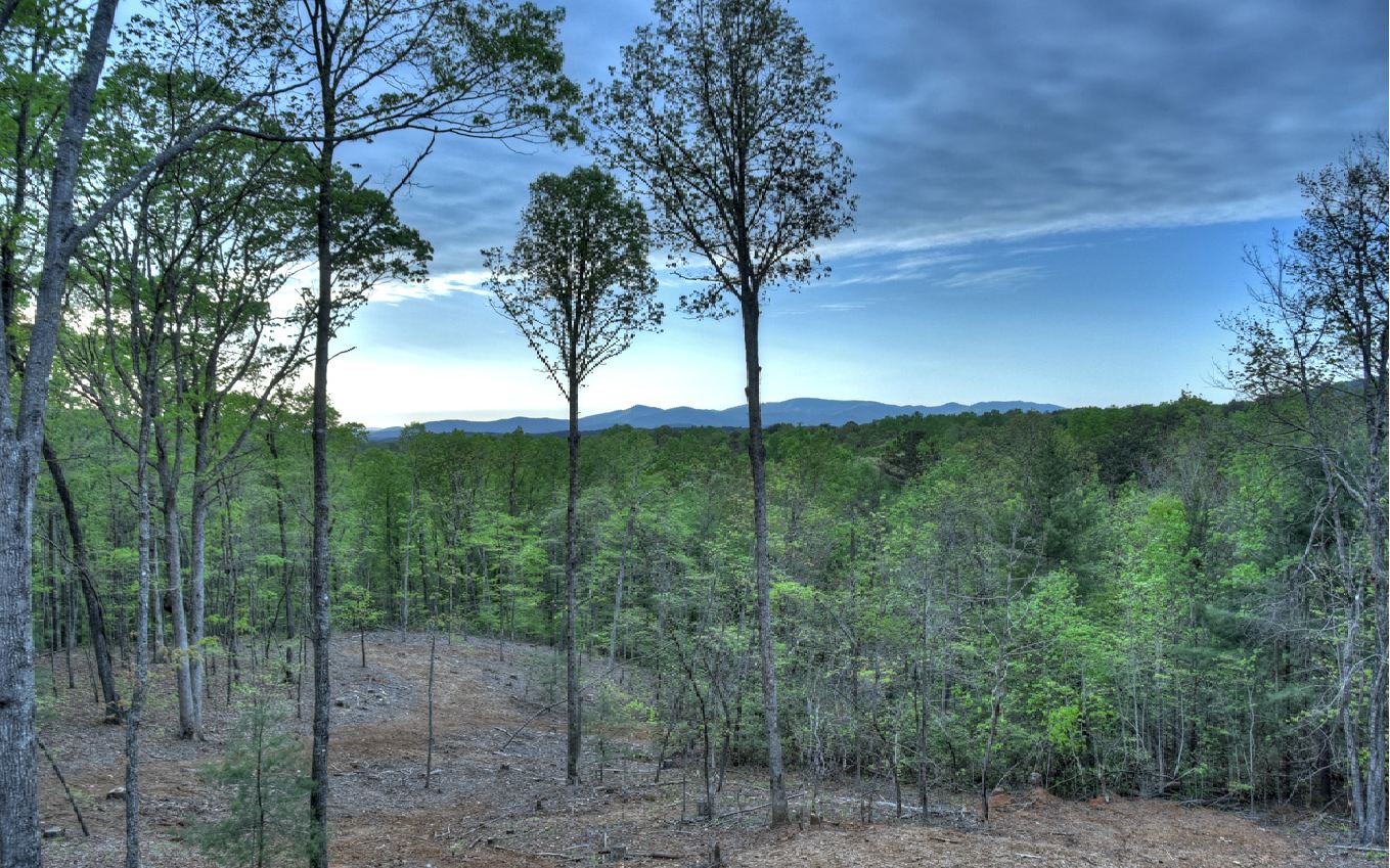 923 Big Timber Road Mineral Bluff, GA 30559 - Photo 13 of 58 Additional View