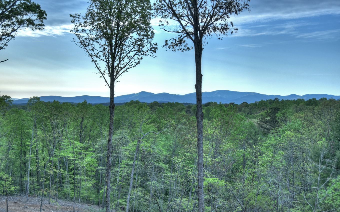 923 Big Timber Road Mineral Bluff, GA 30559 - Photo 14 of 58 Additional View