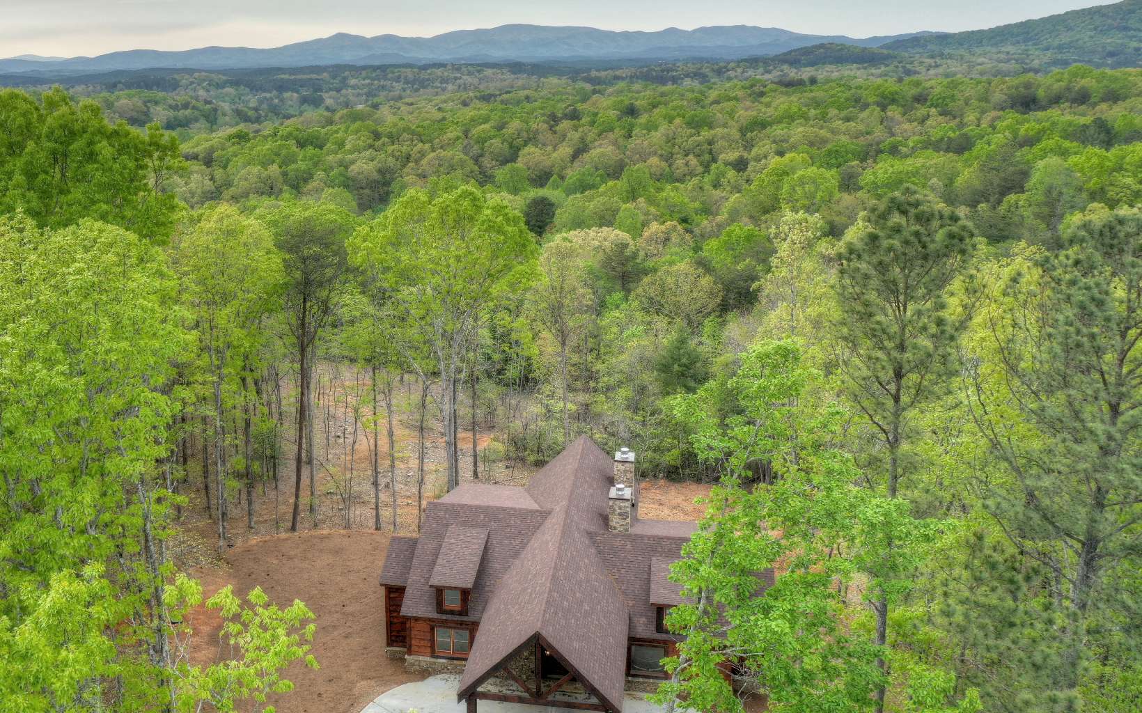 923 Big Timber Road Mineral Bluff, GA 30559 - Photo 54 of 58 Additional View