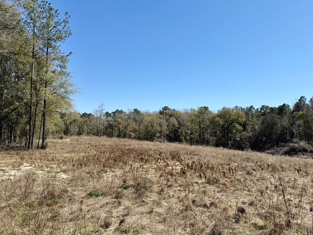 2326 Campbell Hill Road Chancellor, AL 36316 - Photo 25 of 33