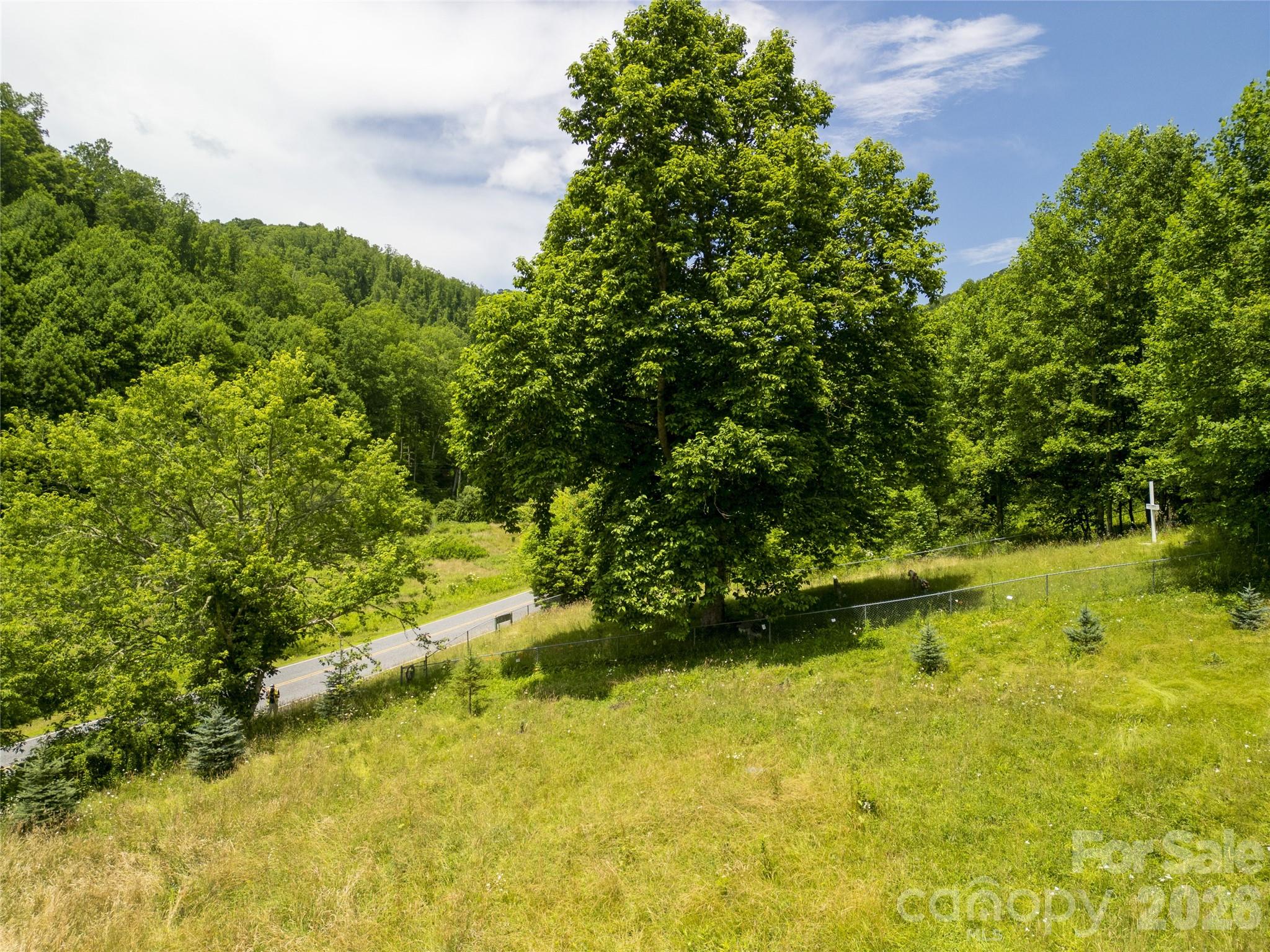 168 Smith Creek Road Mars Hill, NC 28754 - Photo 2 of 46