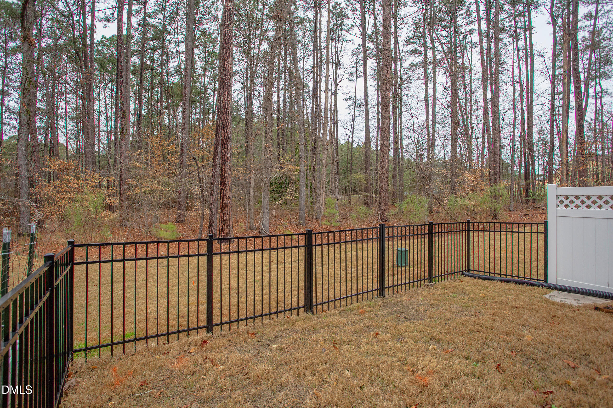 1136 Southpoint Trail Durham, NC 27713 - Photo 21 of 35 Rear Garden 2