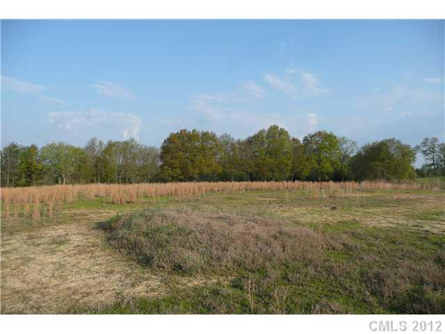 9.7-ac Cane Mill Road Lancaster, SC 29720 - Photo 3 of 12 Gallery Image 3