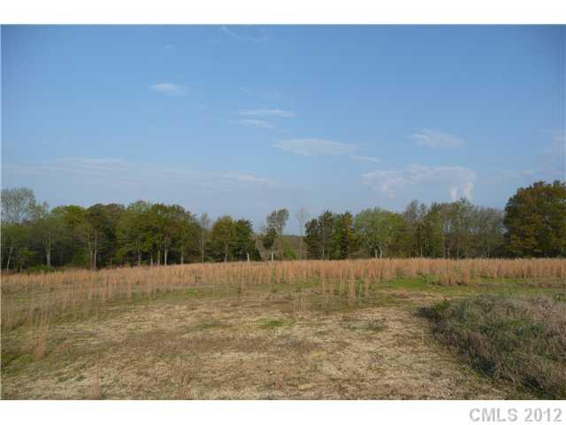 9.7-ac Cane Mill Road Lancaster, SC 29720 - Photo 4 of 12 Gallery Image 4