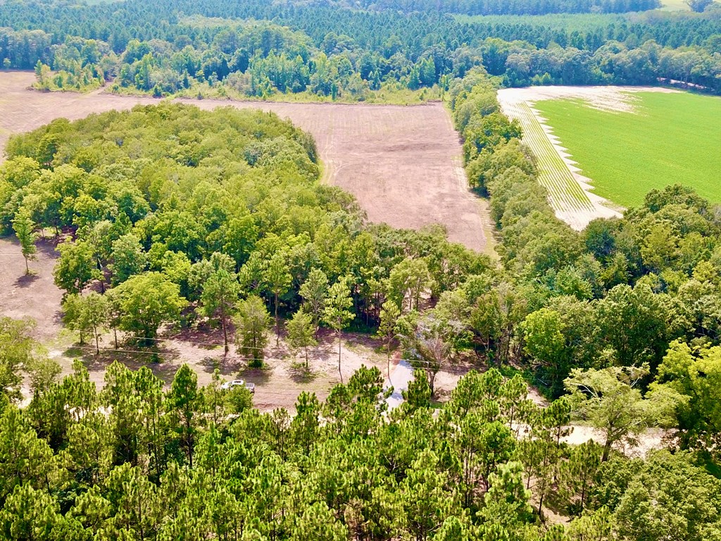L1 New Hinson Road Slocomb, AL 36375 - Photo 13 of 30