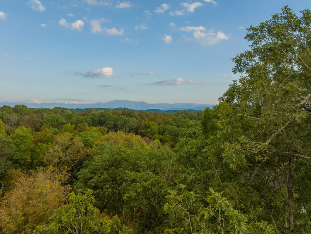 1249 Reedmont Way Sevierville, TN 37876 - Photo 27 of 34 Gallery Image 27
