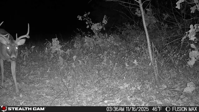 $390,000 | 1181 Southeast 228th Street, Lathrop, MO 64465