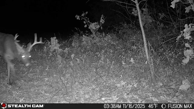 $390,000 | 1181 Southeast 228th Street, Lathrop, MO 64465