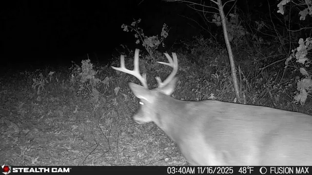 $390,000 | 1181 Southeast 228th Street, Lathrop, MO 64465