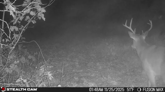 $390,000 | 1181 Southeast 228th Street, Lathrop, MO 64465