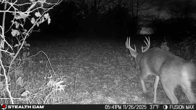 $390,000 | 1181 Southeast 228th Street, Lathrop, MO 64465