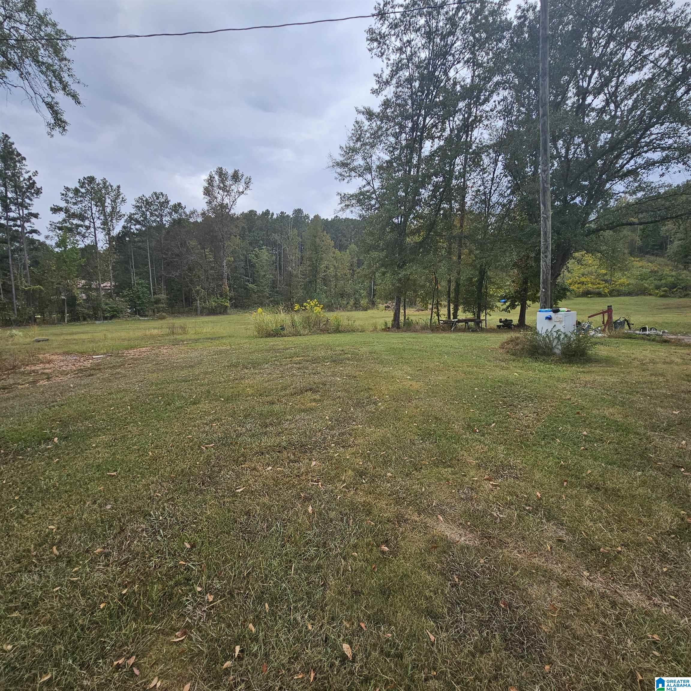 1395 Camp Creek Road Cropwell, AL 35054 - Photo 4 of 16