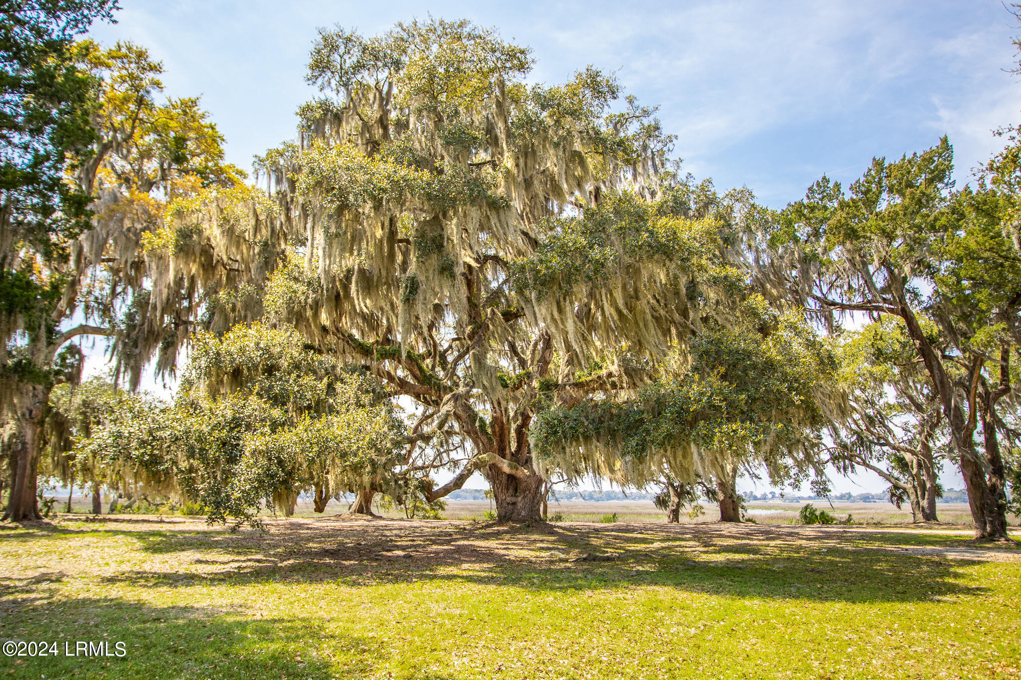 8 Harborview Circle Beaufort, SC 29907 - Photo 55 of 63 IMG_8892