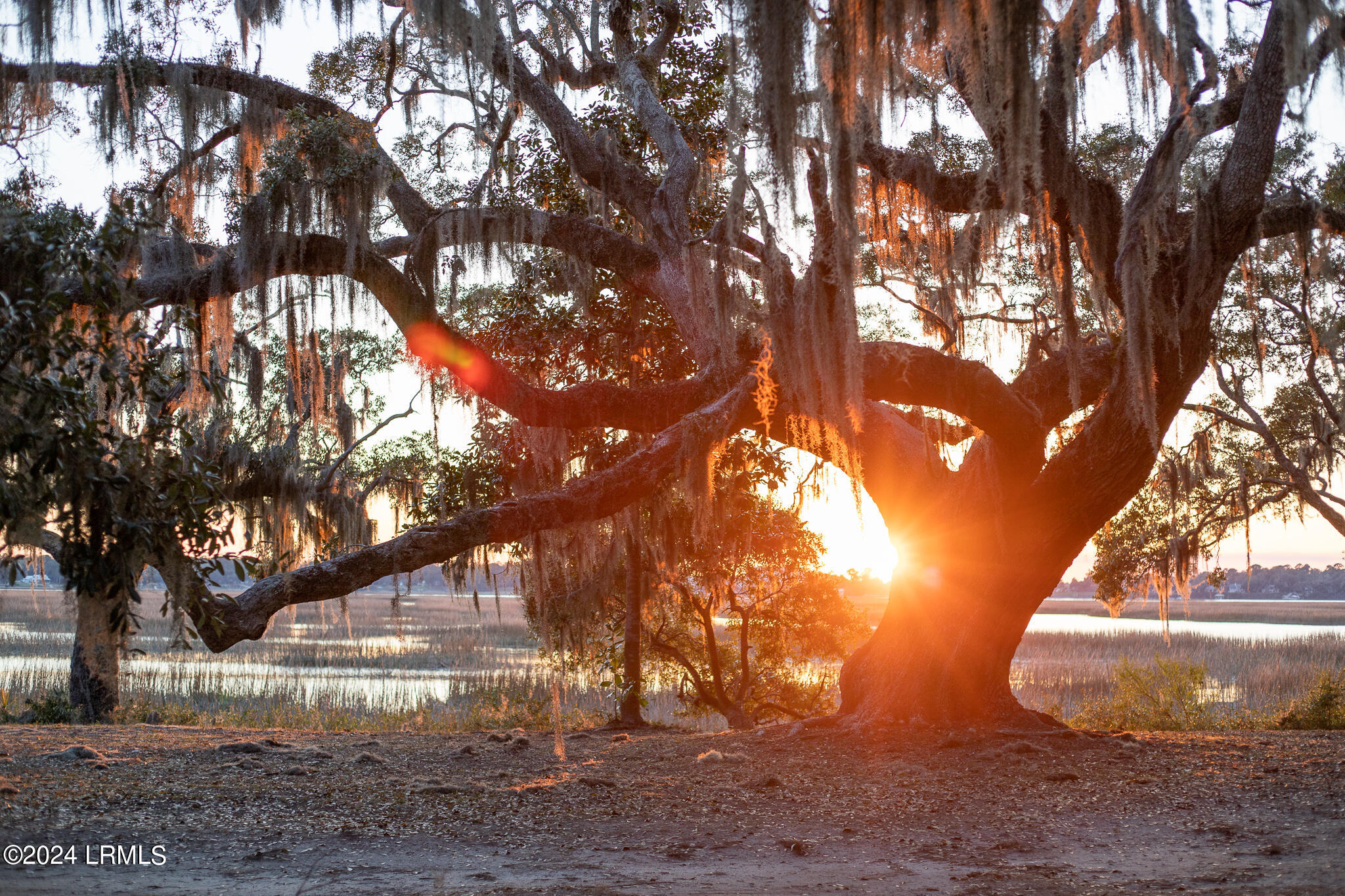 8 Harborview Circle Beaufort, SC 29907 - Photo 61 of 63 IMG_0743