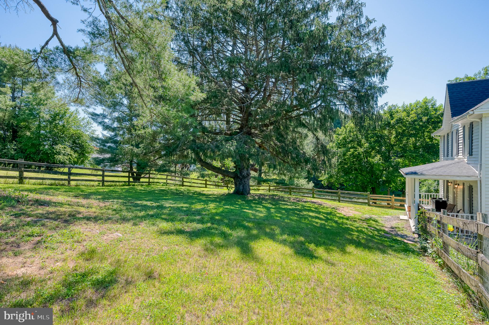 3248 Charles Street Fallston, MD 21047 - Photo 11 of 84 Spacious yard with majestic tree.