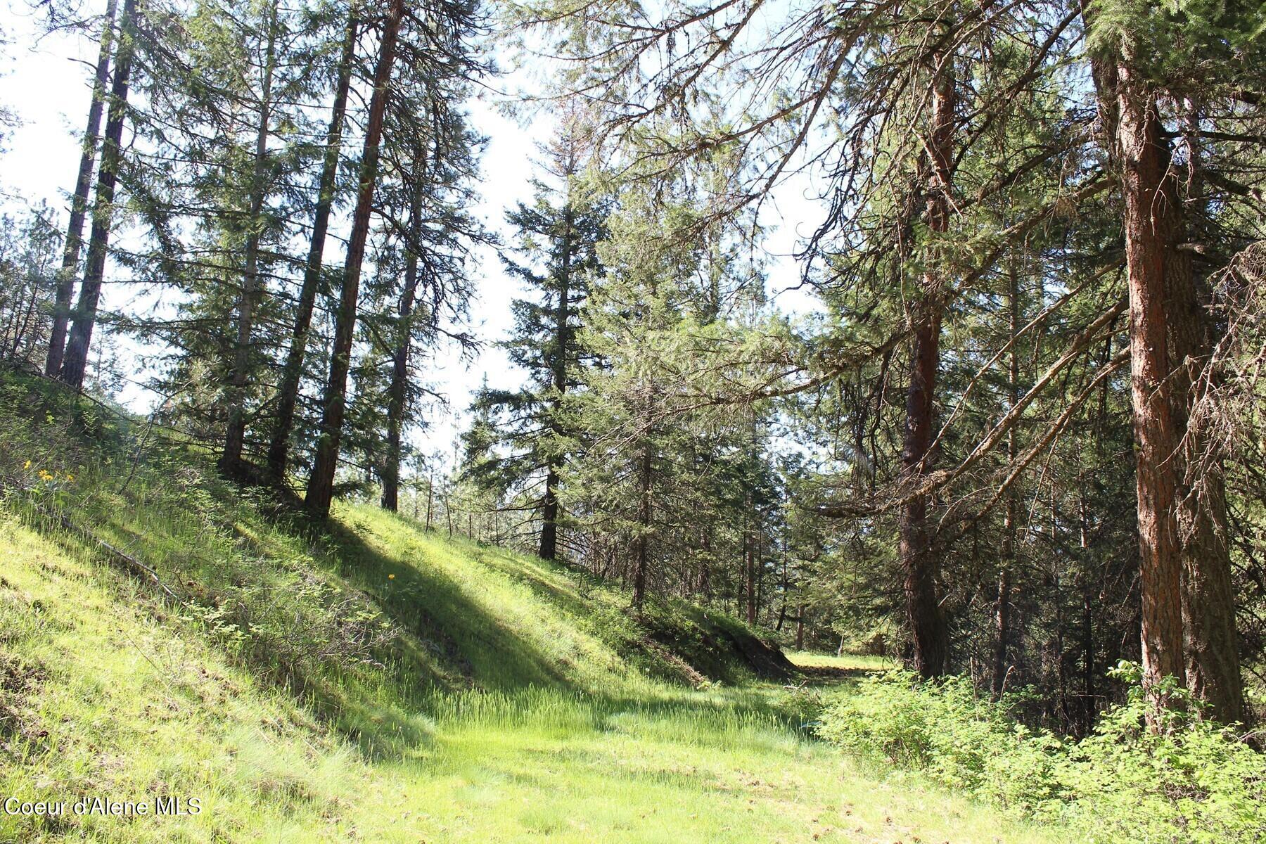 881 South Allen Road Coeur D'Alene, ID 83814 - Photo 24 of 26 Northwest Allen Trail