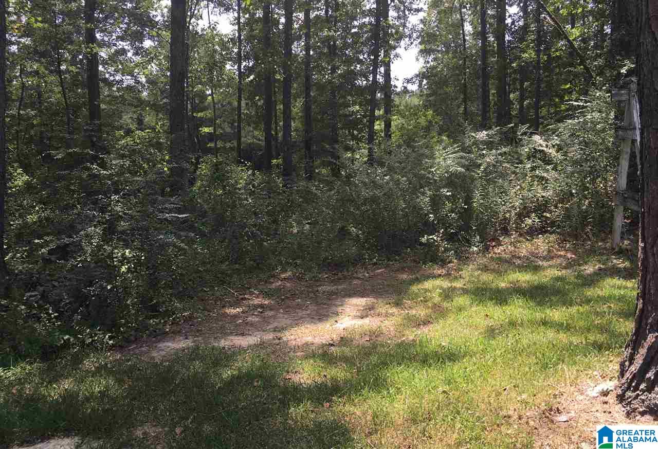150 Highway 22 Montevallo, AL 35115 - Photo 3 of 29