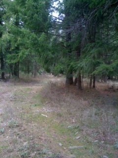 Nna Westmond Road Sagle, ID 83860 - Photo 1 of 1 Westmond Road